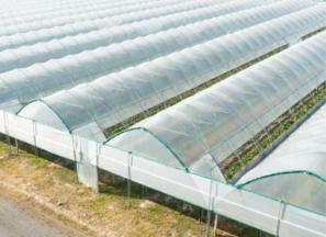 قیمت نایلون کشاورزی اصفهان + پخش تولیدی عمده کارخانه