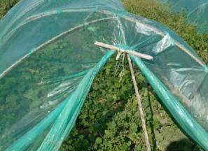 قیمت خرید نایلون کشاورزی شیراز + مشخصات، عمده ارزان