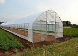 قیمت خرید نایلون گلخانه ای شفاف + تست کیفیت