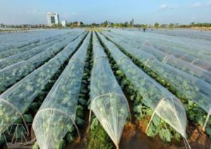 قیمت نایلون کشاورزی تهران + مشخصات بسته بندی عمده و ارزان