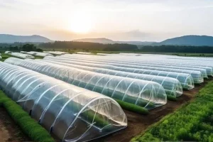 بهترین نایلون گلخانه ای شفاف + قیمت خرید عالی