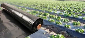 بهترین نایلون کشاورزی سیاه + قیمت خرید عالی